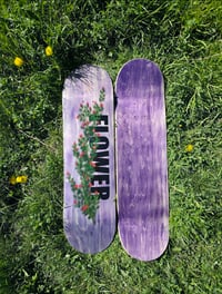 Image 2 of Rose Shrub Board Purple