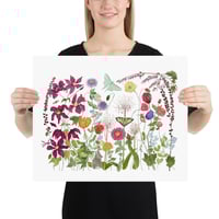 Image 7 of Garden Fireworks- Poster Print