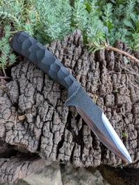 Image 1 of G10 COMPANION