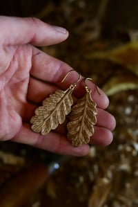 Image 4 of Oak leaf Earrings-