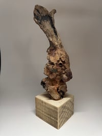 Image 4 of “William”