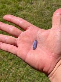 Image 21 of Tanzanite Specimen #2340