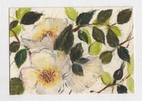 dog roses no. 5