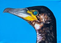 Cormorant