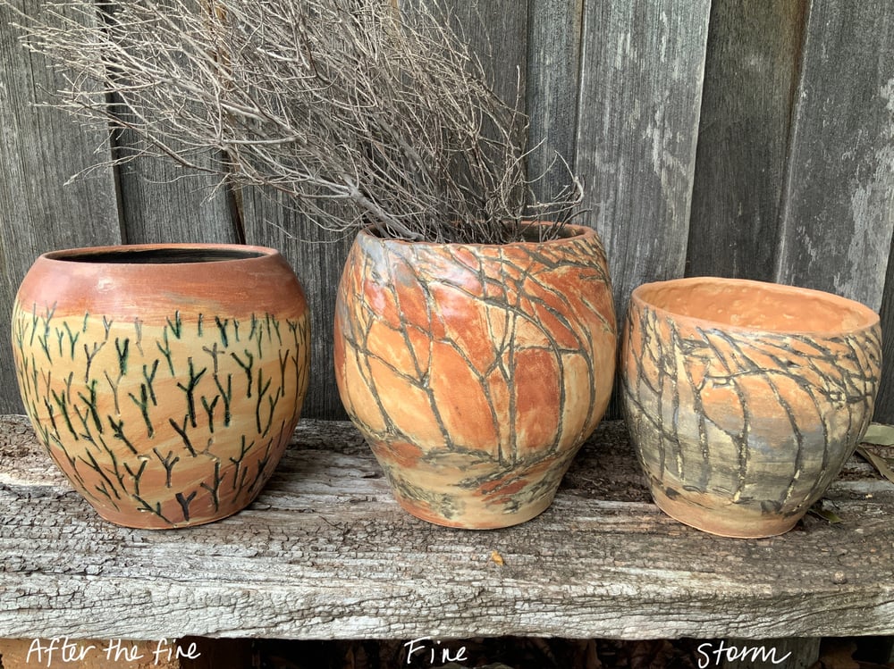 Image of Tree language , weather.