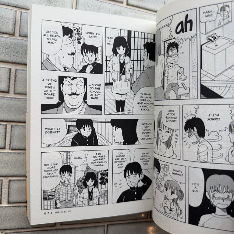 Stop!! Hibari-Kun by Hisashi Eguchi  Image 2