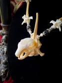 Squirrel Skull - Bone Necklace