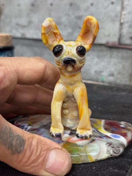 Image of Frenchie Momma 