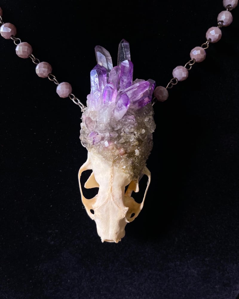 Image of Lavender Quartz Mink Skull - Necklace