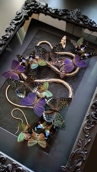 Image 2 of Midnight Serpent