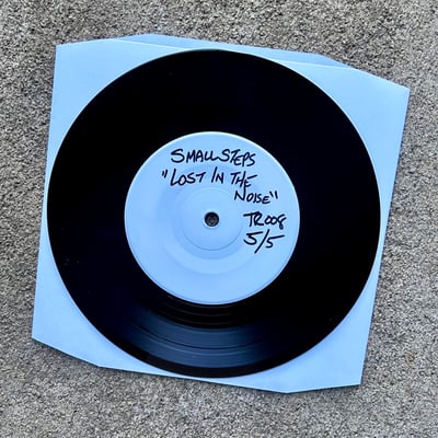 Image of Small Steps - "Lost In The Noise" TEST PRESSING