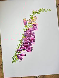 Image 2 of "Foxglove" Original 