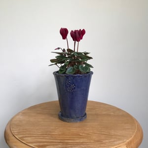 Image of Emily plant pot