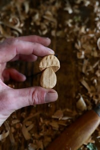 Image 4 of   Penny Bun Mushroom Pendant 