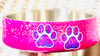 48 ounce dog bowl