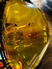 Image 3 of Amber with Beads