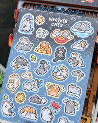 Image 2 of Weather Cats 