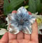 Image of HUGE Hand-Fabricated Hellebore Flower Ring (Semi-adjustable, finished in your size)