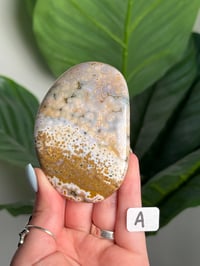 Image 1 of XL CHOOSE YOUR OWN ORBICULAR VEINLESS OCEAN JASPER PALM STONES -MADAGASCAR- 