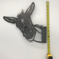 Image 2 of Donkey