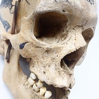 Image 5 of 1/1 religious skull