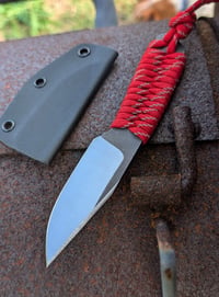Image 1 of Backpacker - Bowie 