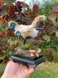 Image 2 of Taxidermy-Style Raptor Dinosaur Chick with Diorama 