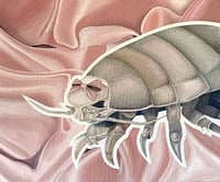 Image 1 of ”Why can’t I accept Myself?” 