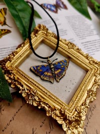 Image 1 of Wisiorek z Mieniakiem Tęczowcem