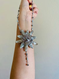 Image 2 of 🪩Disco Passiflora🪩