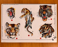 Image 1 of Bruno Coccioli’s production sheet B26