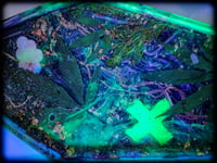 Image 2 of MMJ coFfiN Tray I 12"