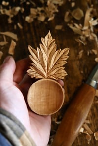 Image 1 of   Maple Leaf Coffee Scoop
