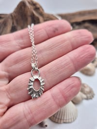 Image 4 of Tiny open limpet shell necklace