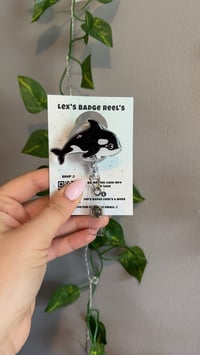 Orca Baby