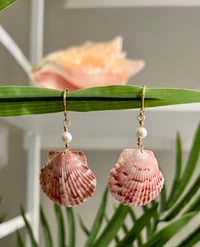 Image 2 of Pink Scallop Earrings E128