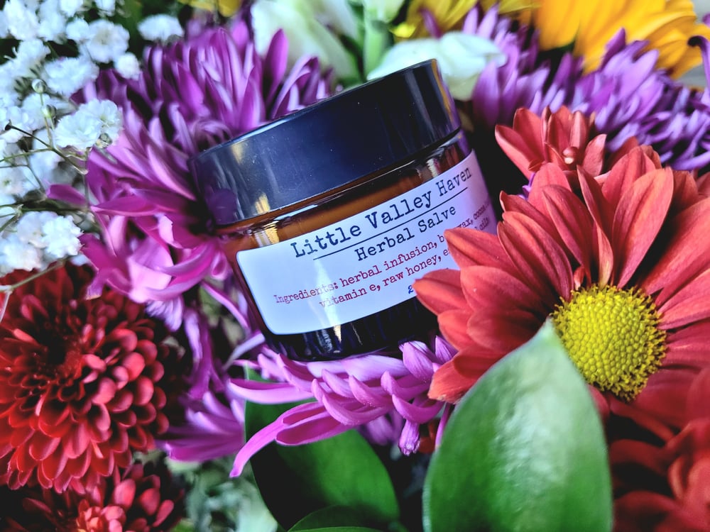 Image of Herbal Salve | 2 oz | 57 g
