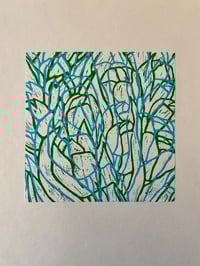 Image 1 of Tulips double No. 2