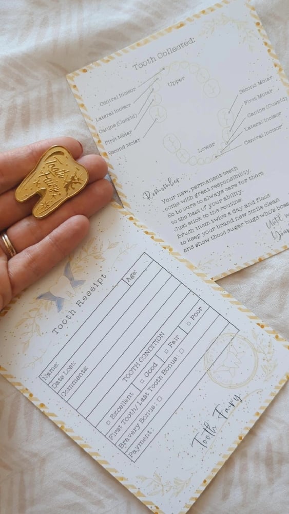Image of NEW PRODUCT - Tooth Fairy Memory Kit 
