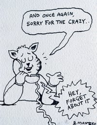 Image 1 of Sorry For The Crazy 