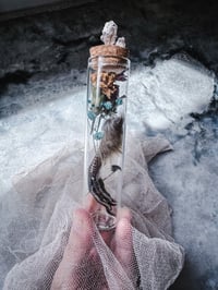 Image 2 of Grouse foot w/ Topaz  cluster 