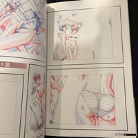 Image 5 of Discipline: The Record of a Crusade Art Book