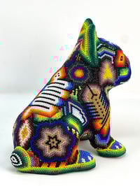 Image 3 of French Bulldog Puppy Vol 3 003