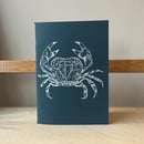 Image 5 of Sealife sketchbooks - pack of 3
