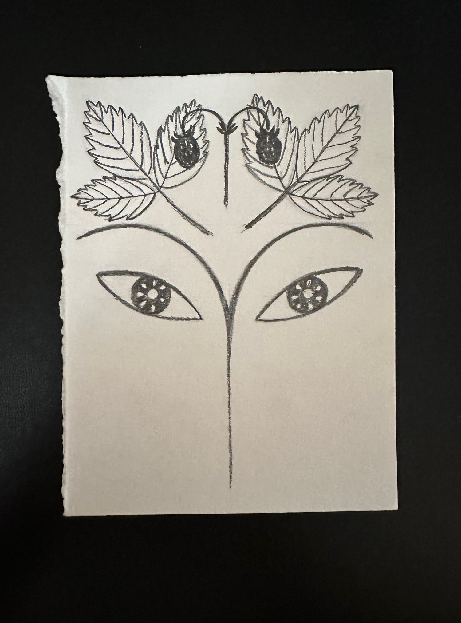 Image of The Sensual World Drawings: Acorn. Strawberry. Iris