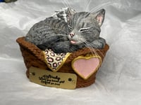 Image 5 of Custom Engraved Handpainted Sleeping Cat In Basket Urn