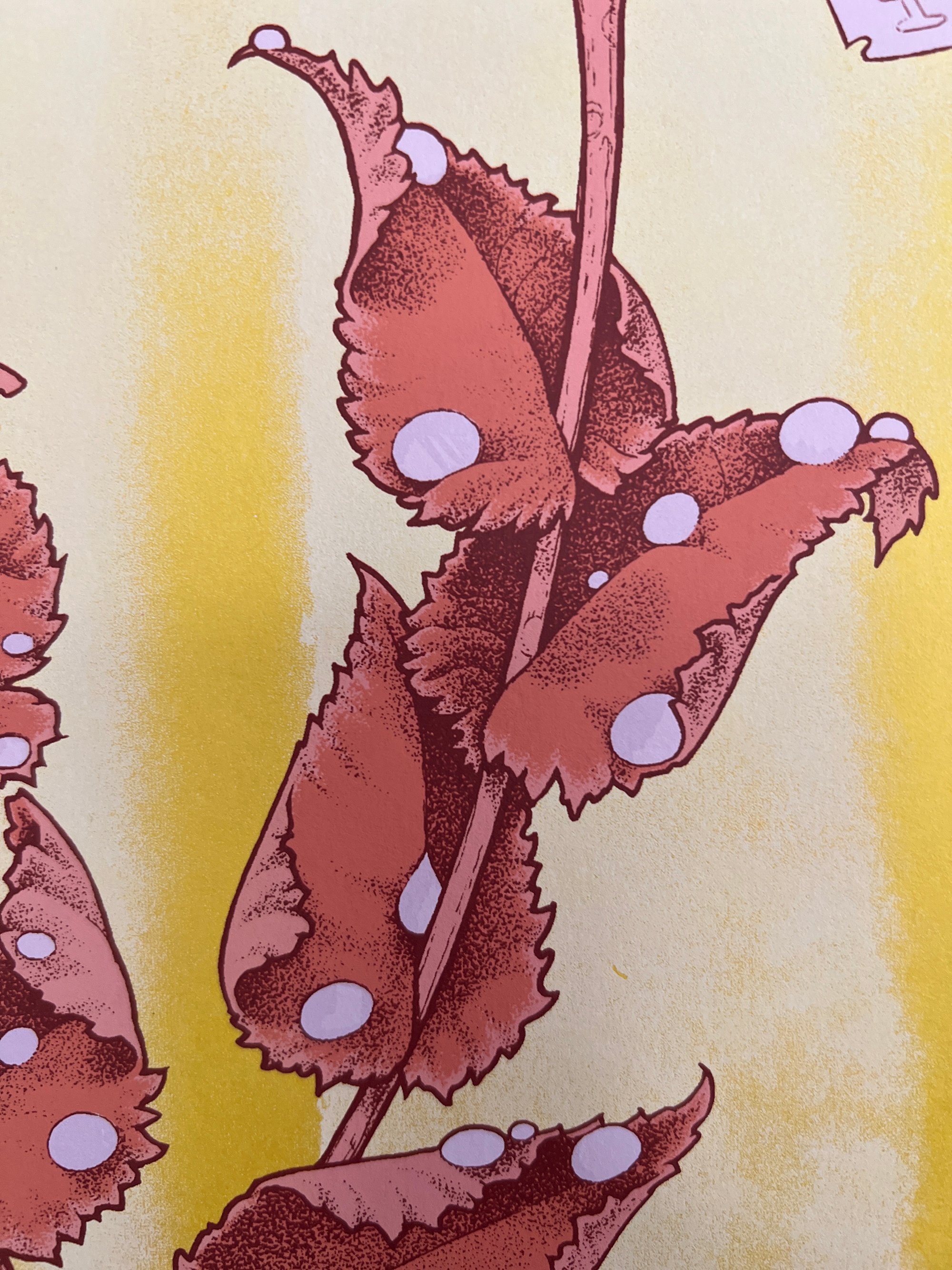 Razorbloom yellow edition | johndyerbaizley