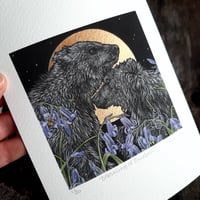 Image 2 of Dreaming Of Bluebells ~ Limited Edition Print