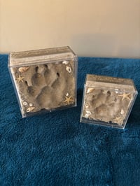 Image 1 of Sandy Paws