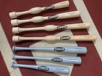 CLOSEOUT - Training Bats - $40ea